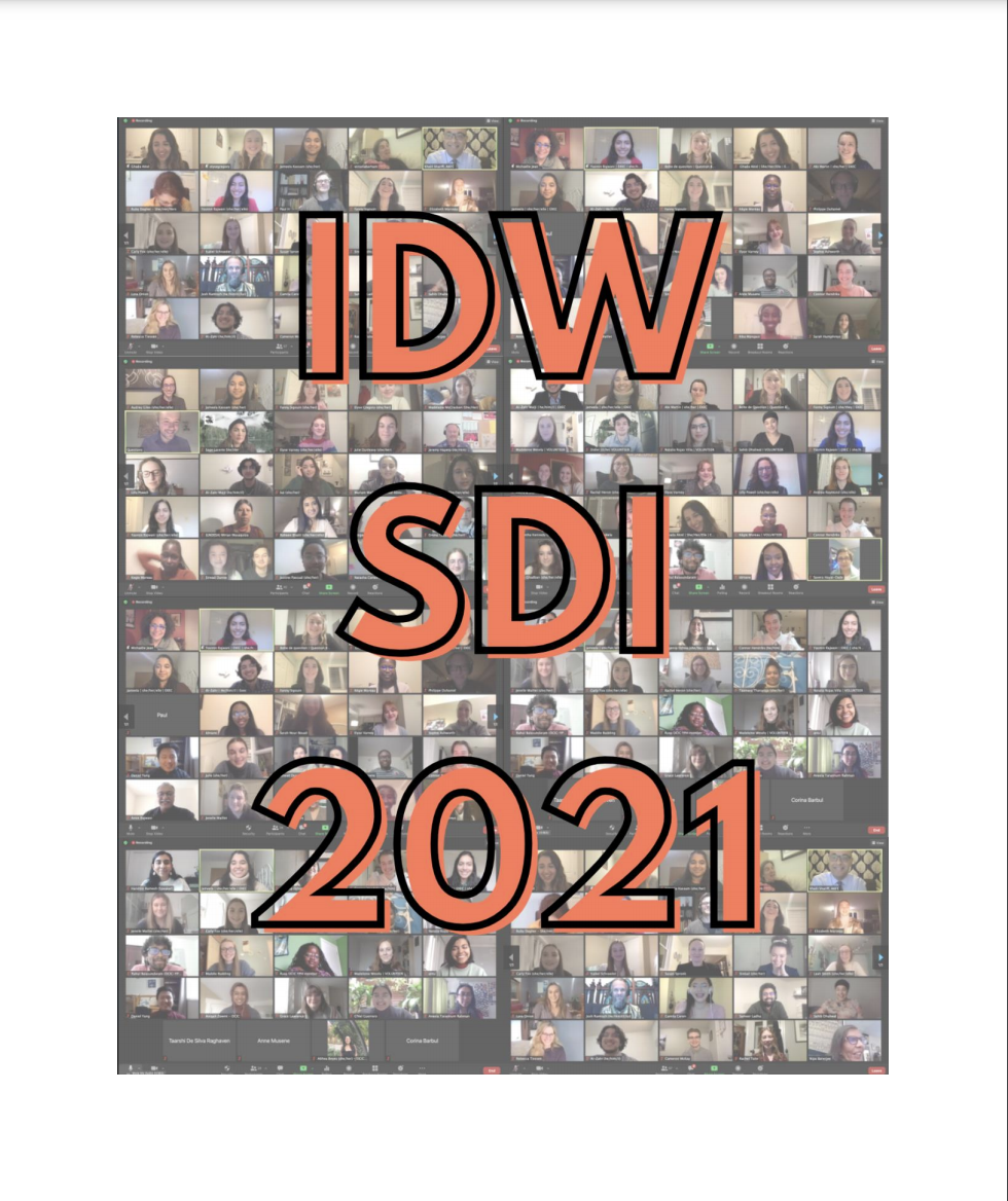 IDW 2021 Final Report